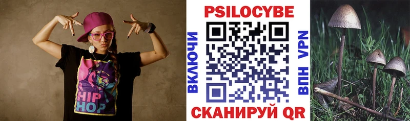 как найти закладки  Строитель  блэк спрут ссылки  Псилоцибиновые грибы GOLDEN TEACHER 